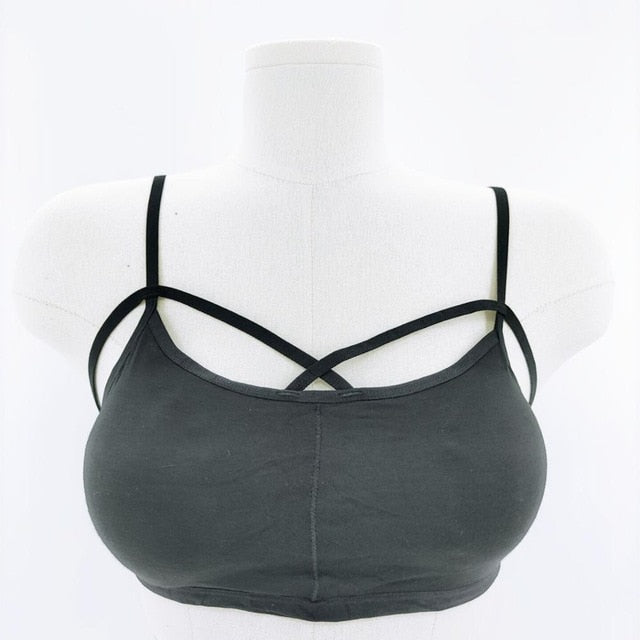 Women Sexy Crop Tops Bra