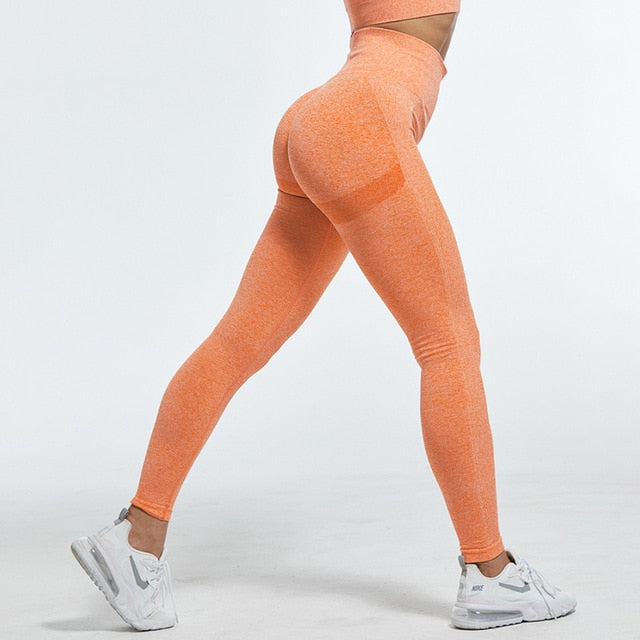 Seamless Women Leggings