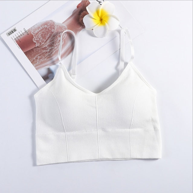 Women Sexy Crop Tops Bra