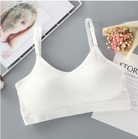 Women Sexy Crop Tops Bra